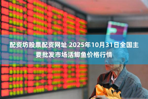 配资坊股票配资网址 2025年10月31日全国主要批发市场活鲫鱼价格行情