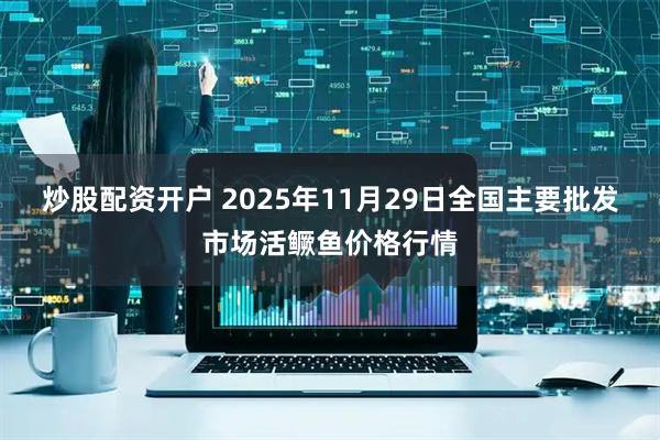 炒股配资开户 2025年11月29日全国主要批发市场活鳜鱼价格行情