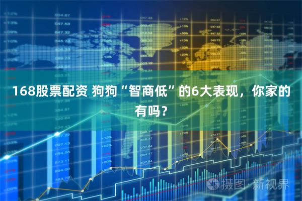 168股票配资 狗狗“智商低”的6大表现，你家的有吗？